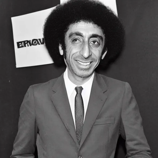 Prompt: Eric Zemmour with afro hair, 70s style fashion