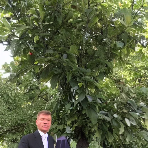 Prompt: klaus iohannis as a fig tree