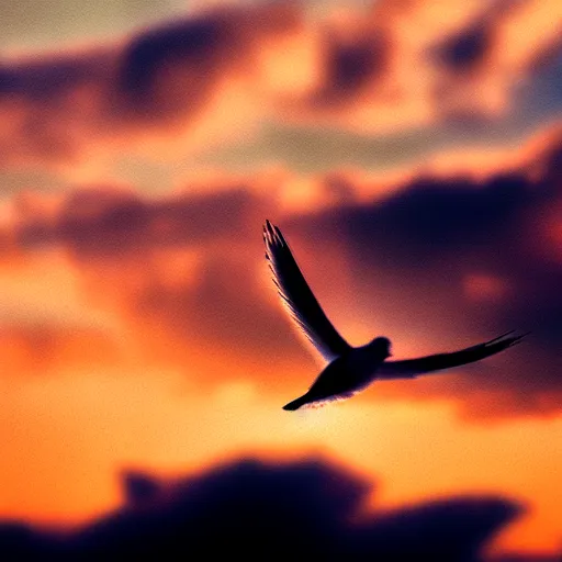 Prompt: Realistic shot of a dove flying over the clouds at sunset, ethereal, vintage photograph, film grain, surreal, awe-inspiring, highly detailed