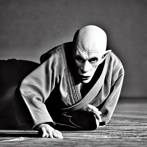 Image similar to portrait of nosferatu is making judo, sport photography