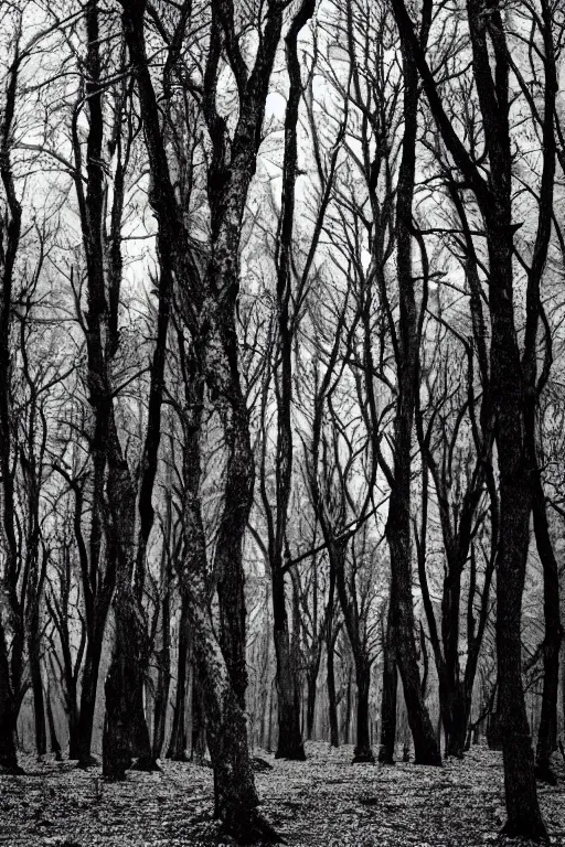 Prompt: dark ominous forest, with trees with a human face,,