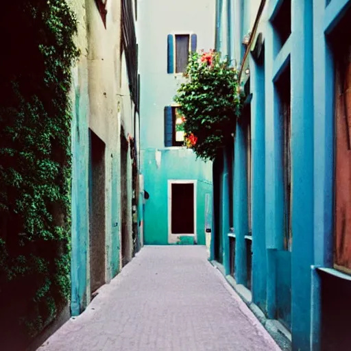 Image similar to kodak portra 8 0 0, flickr photograph view of a calm hallway street street with blue roses!! blue flowers! in downtown neo - venezia in a dreamy afternoon, a corner shop can be seen selling flowers! flower shop!!!