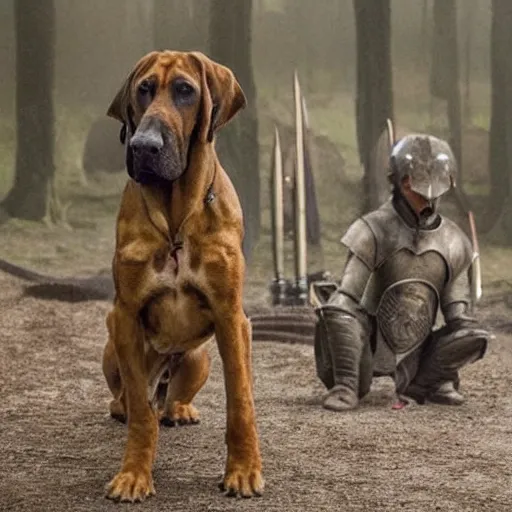 Prompt: a bloodhound playing The Hound in Game of Thrones