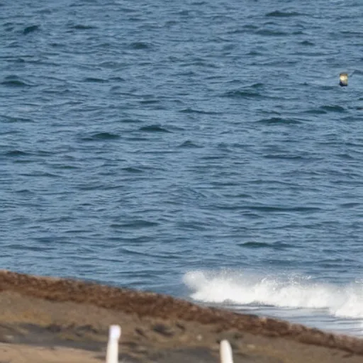 Prompt: a far away shot of Joe Biden in the ocean