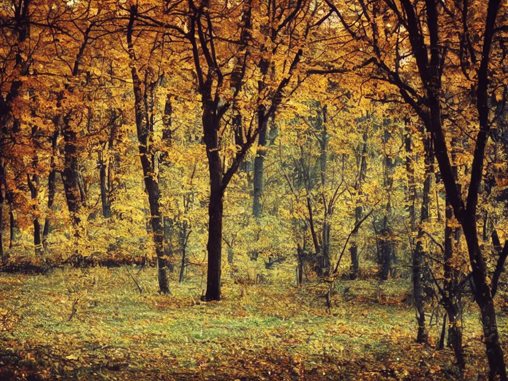 Image similar to a lomographic photo of a view of the outskirts of moscow, autumn, cinestill, bokeh