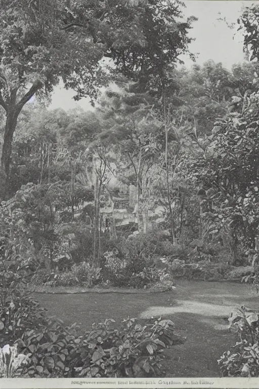 Prompt: photograph of garden of eden