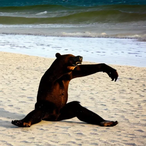 Image similar to breakdancing bear on a beach