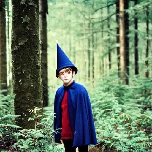 Image similar to portrait of wirt from over the garden wall. a 1 6 years old gloomy awkward boy with big brown eyes and shaggy brown hair wearing a red dunce hat and a blue navy cape, standing in the forest, kodachrome photograph, 1 9 9 5