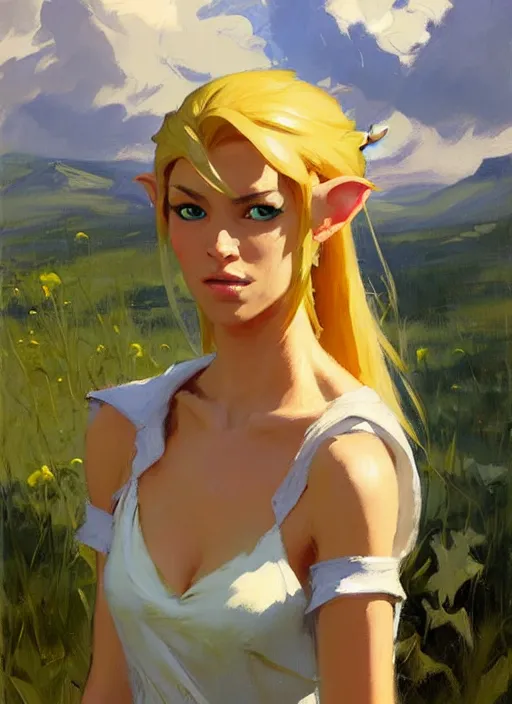 Image similar to Greg Manchess painting of a female Link from Legend of Zelda, countryside, calm, fantasy character portrait, dynamic pose, above view, sunny day, thunder clouds in the sky, artwork by Jeremy Lipkin and Giuseppe Dangelico Pino and Michael Garmash and Rob Rey, very coherent asymmetrical artwork, sharp edges, perfect face, simple form, 100mm