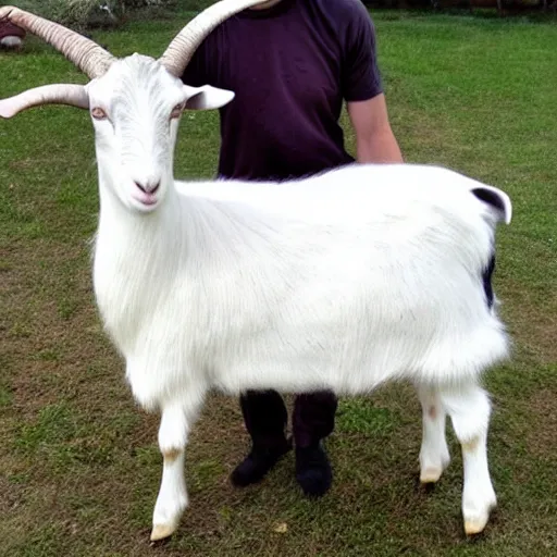 Image similar to a goat costume, craigslist photo