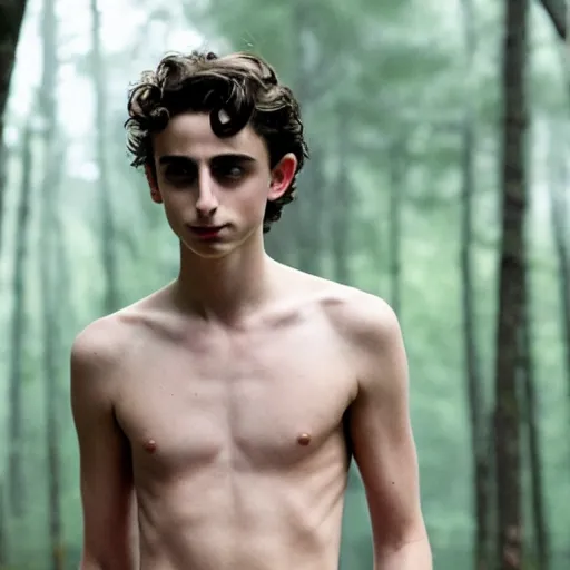 Image similar to timothee chalamet with loincloth, ominous, eerie forest in background