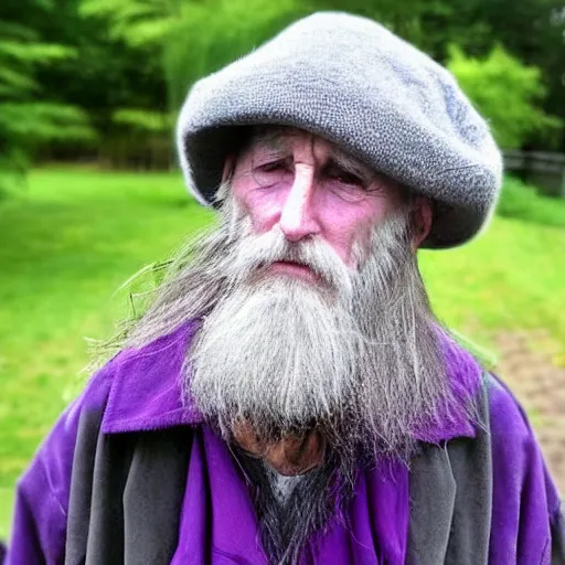 Image similar to an old bald druid wizard with bushy grey eyebrows, long grey hair and wearing a grey wizard hat, disheveled, wise old man, wearing a purple detailed coat, a bushy grey beard, sorcerer, he is a mad old man
