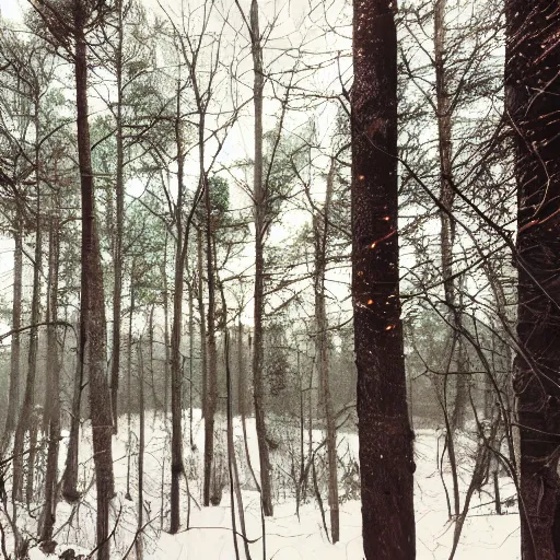 Image similar to bright nordic forest, sparkling spirits, detailed wide shot, wireframe, ground detailed, wet eyes reflecting into eyes reflecting into infinity, beautiful lighting