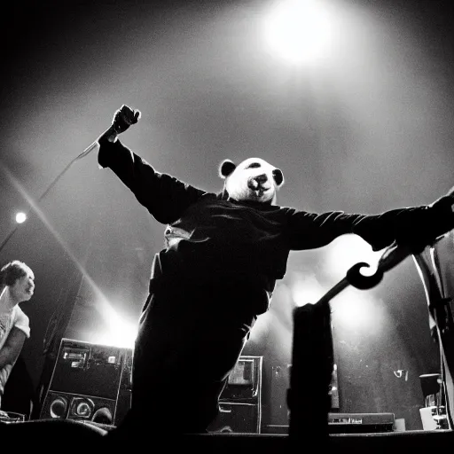 Image similar to concert photography of a panda bear singer, black and white, flashpoint flash, leica s, bruce gilden