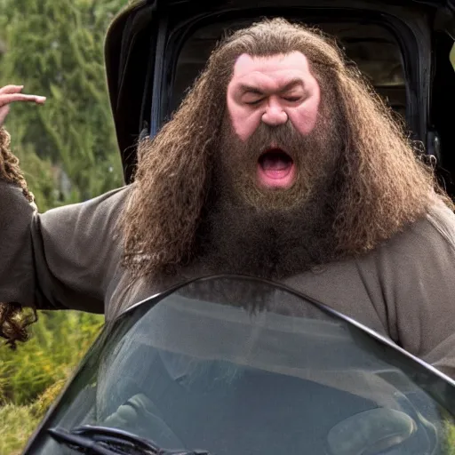 Prompt: hagrid driving seen from the front