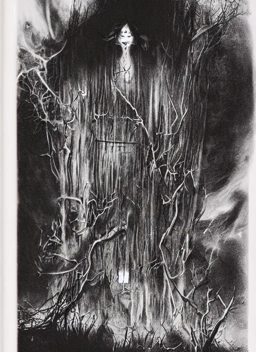 Image similar to book cover of scary stories to tell in the dark paperback novel by stephen gammell