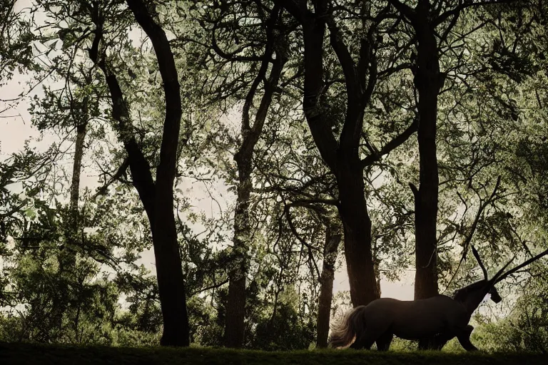 Image similar to beautiful unicorn infer a tree natural lighting 85mm by Emmanuel Lubezki