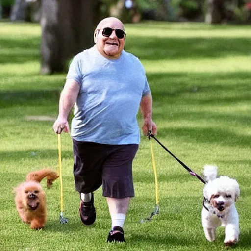 Prompt: a dog that looks like danny devito going for a walk in the park with its owner