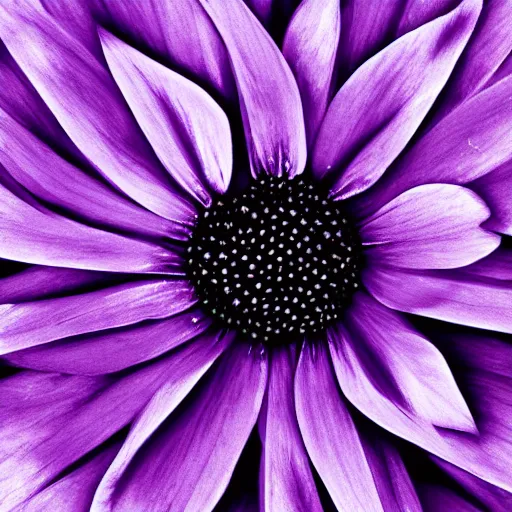 Image similar to frozendimensional purple petal transformation colour