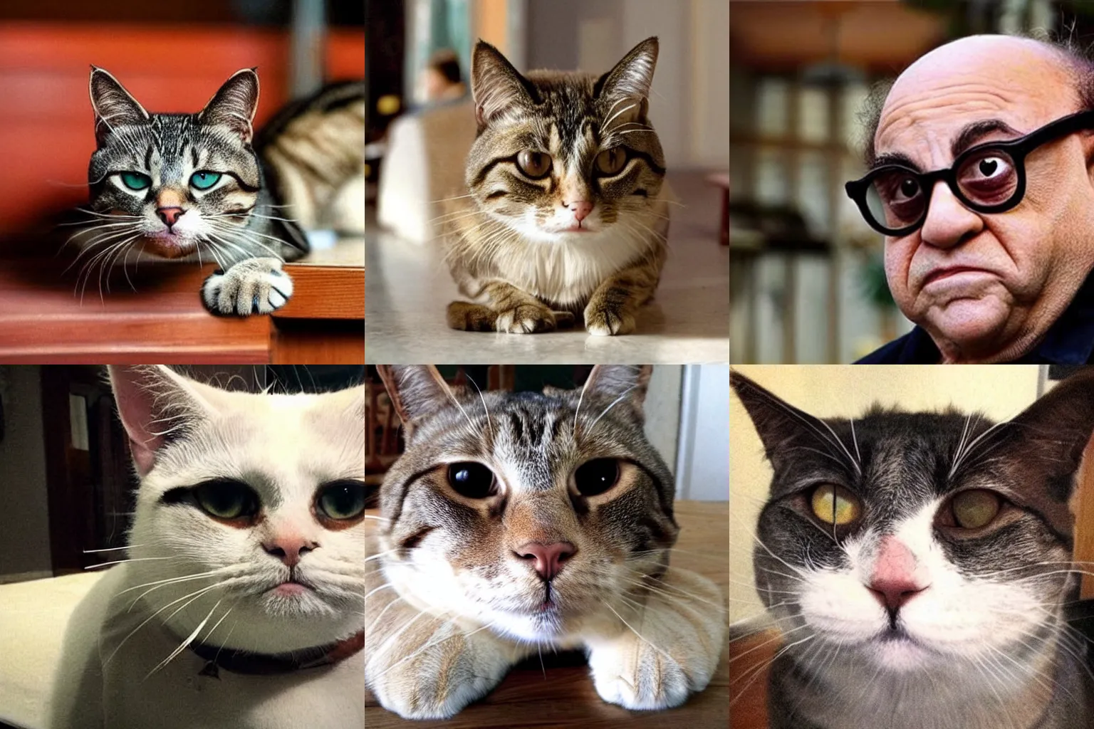 Prompt: a house cat that looks a lot like danny devito