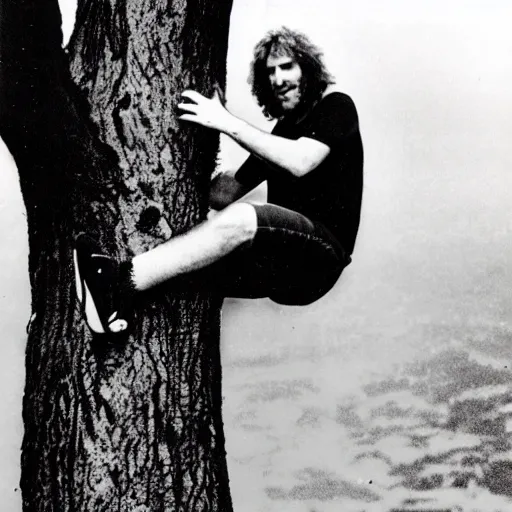 Prompt: steve hillage climbing a tree