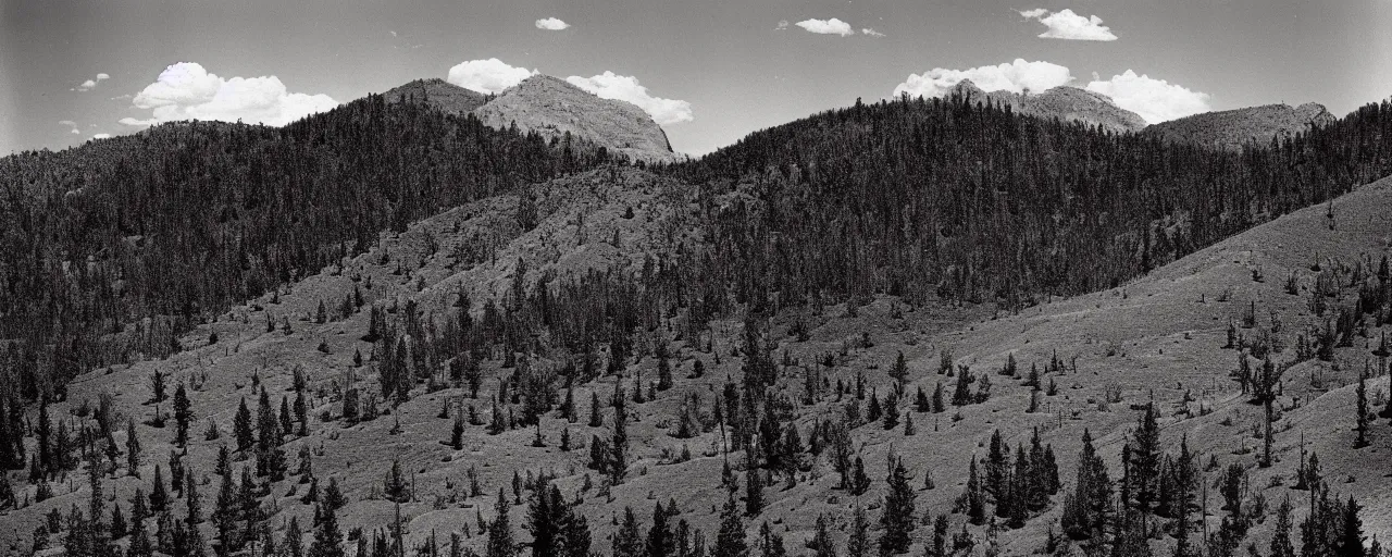 Image similar to the old american west, hills and forest, cloud shadow, vivid, photograph by ansel adams