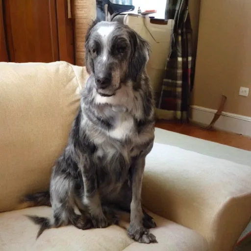 Image similar to older handsome lord is sitting gracefully on a sofa