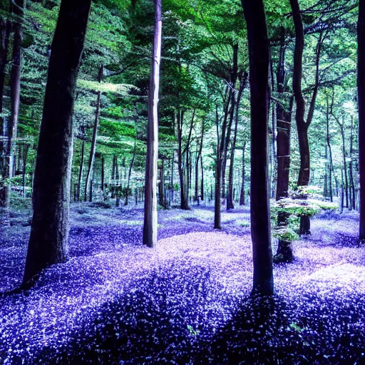 Image similar to Looking at the forest floor, An indigo forest in Japan, dark, midnight, ghostly white trees