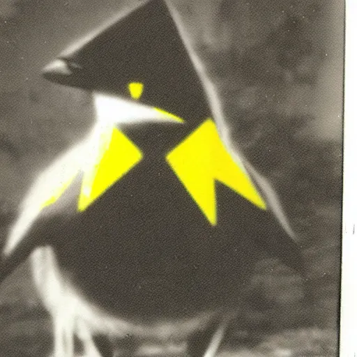 Prompt: 1 9 5 0 s polaroid picture of zapdos