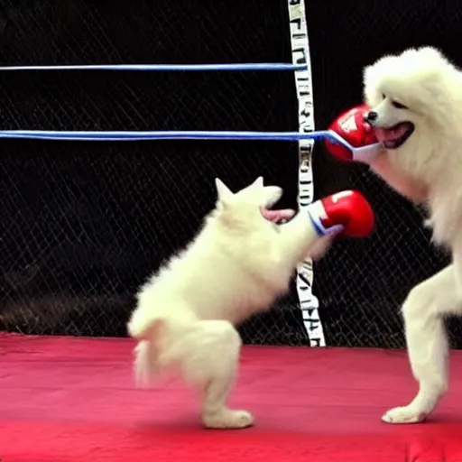 Prompt: samoyed dog fighting in muay thai