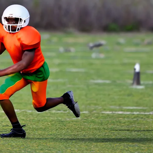 Image similar to a wideshot photo of an ibis playing american football, wearing orange and green colored jersey, with a gold chain on it's neck