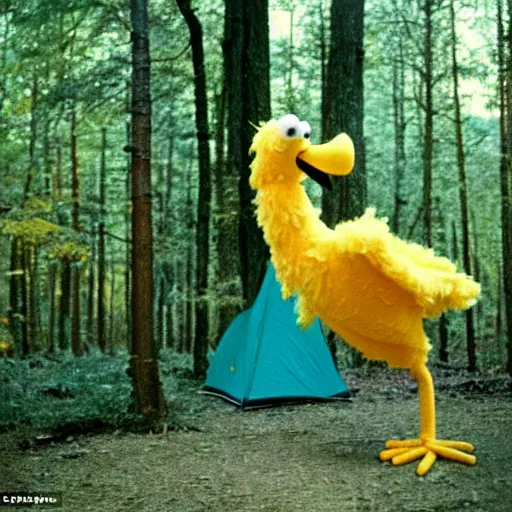 Image similar to big bird from Sesame Street camping in the woods, 1960s color photograph