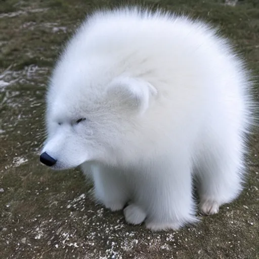 Image similar to a white arctic fur texture