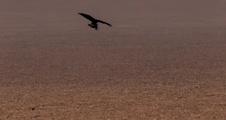 Image similar to a vulture flying over an empty desert