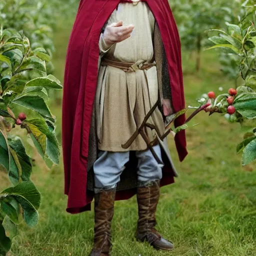 Image similar to portrait of a slender elven man, standing in an apple orchard, dressed in medieval clothes, very handsome, dungeons and dragons