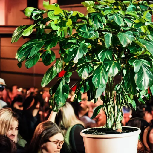 Prompt: a potted plant on a stage at a mosh pit
