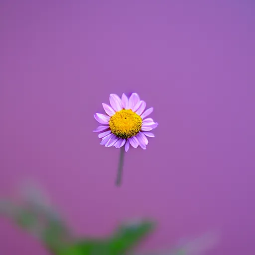 Prompt: closeup photo of single purple camomile's petal flying above a soviet city, aerial view, shallow depth of field, cinematic, 8 0 mm, f 1. 8