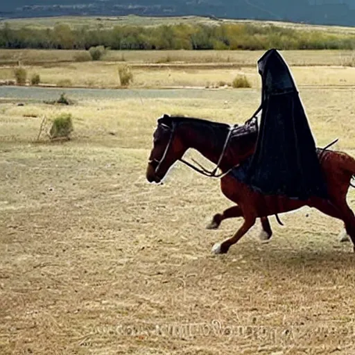 Image similar to crusader riding a horse sized canadian goose into battle