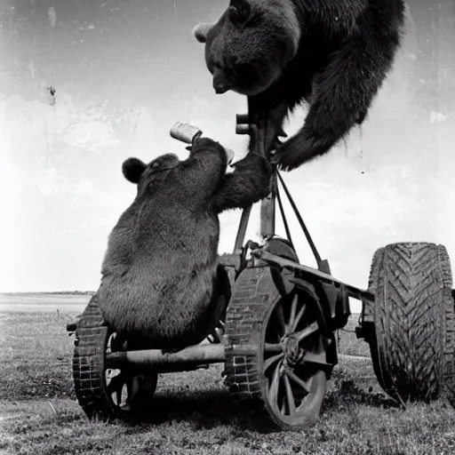 Image similar to a picture of a giant bear pulling a towed canon on wheel behind his back, eastern front, ww 2, historical picture