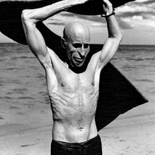 Image similar to count orlok shows off his tanlines, beach photograph