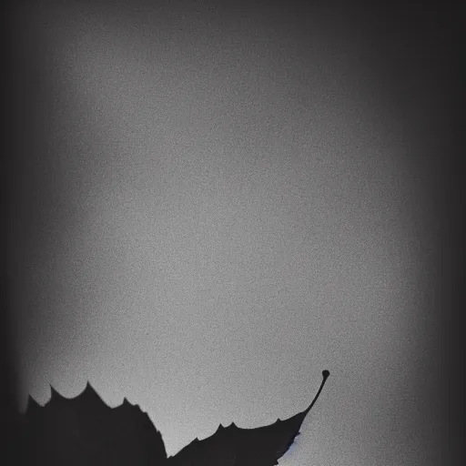 Prompt: silhouette of a falling leaf. black and white, noir, dramatic light.