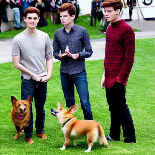 Image similar to Tobey Maguire, Andrew Garfield, and Tom Holland as corgis