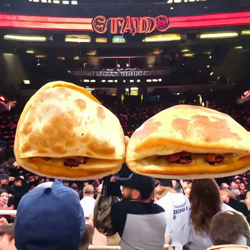 Prompt: two panadas having a wrestling match at madison square garden