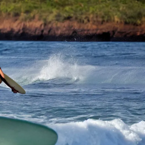 Image similar to a surfer eating a shark