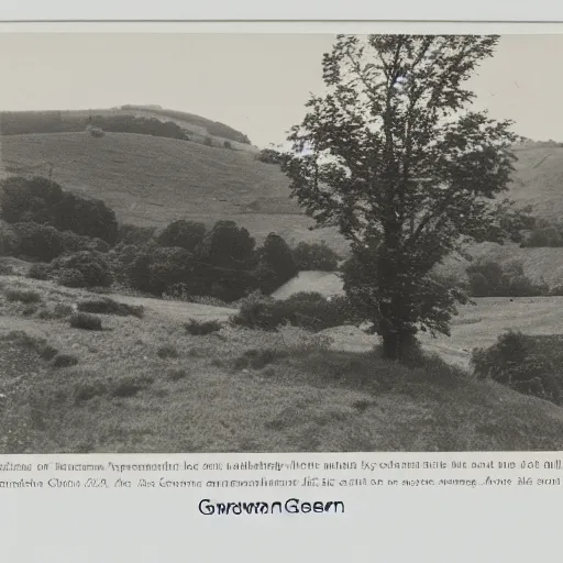 Image similar to photograph of gwern