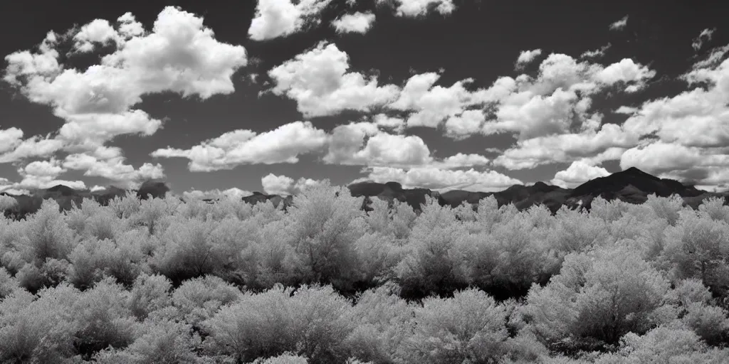 Image similar to west horizon infrared photo, photorealistic landscape,