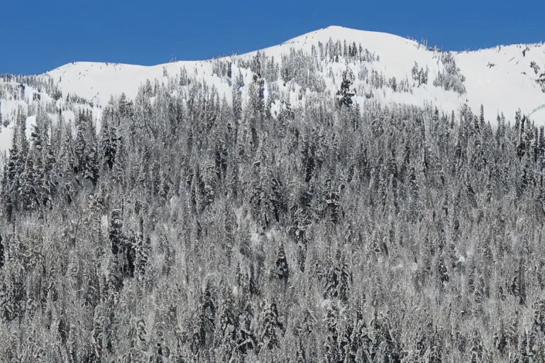 Image similar to long distance photo of snowy shrek range rising from swampy plains