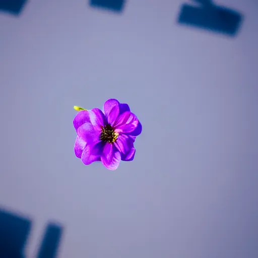 Prompt: closeup photo of one purple flower petal flying above a city, aerial view, shallow depth of field, cinematic, 8 0 mm, f 1. 8