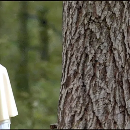 Prompt: trail cam footage of Pope Francis