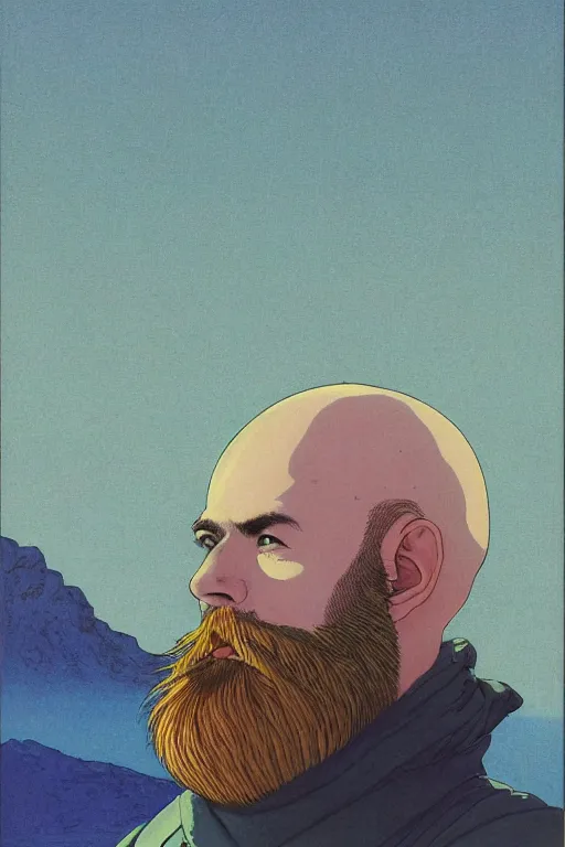 Image similar to a colorful closeup portrait of a young bald man with a very long wild beard dreaming psychedelic hallucinations in the vast icy landscape of antarctica, by kawase hasui, moebius and edward hopper, colorful flat surreal design, hd, 8 k, artstation